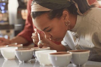 A woman smelling coffee grounds mixed with water during a cupping session