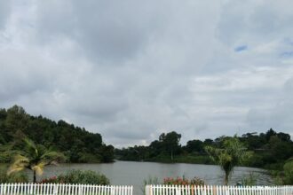 View of Lake Tigoni from Naiposha Garden